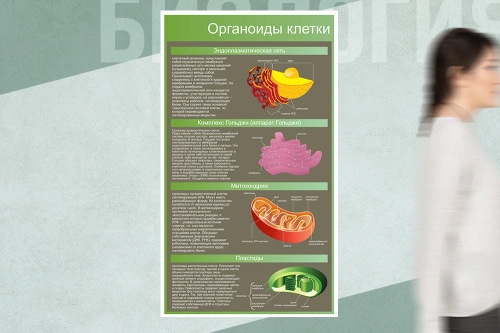 1000х1700мм_ияаа 1000х1700мм_ияаа