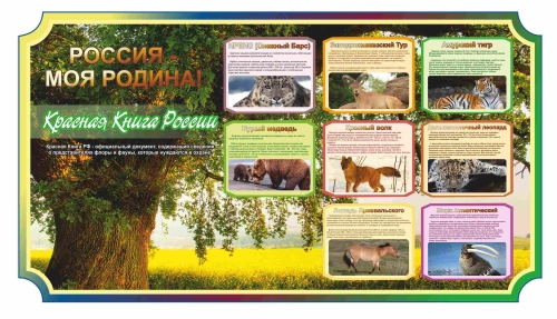 Оформление кабинета о России 1700х900мм (6) Оформление кабинета о России 1700х900мм (6)