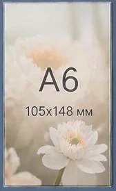 А6