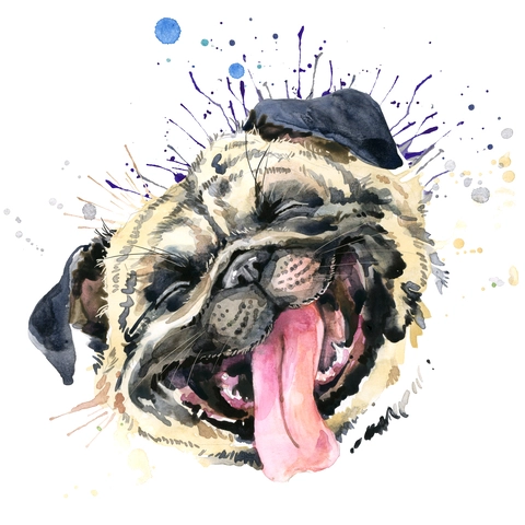 Собачки_80 Собачки_80