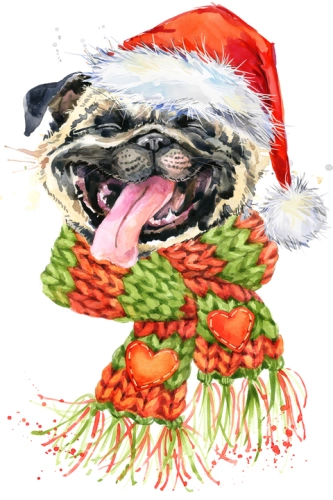 Собачки_97 Собачки_97