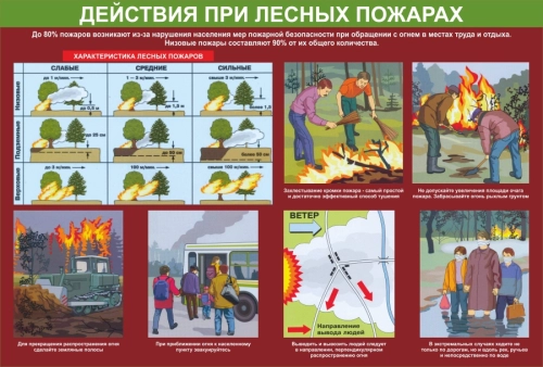 Тематические стенды 900х610мм (2) Тематические стенды 900х610мм (2)