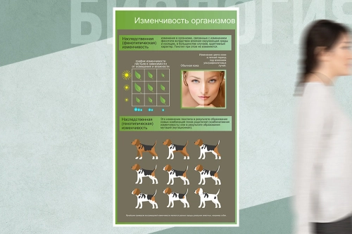 1000х1700мм__ 1000х1700мм__