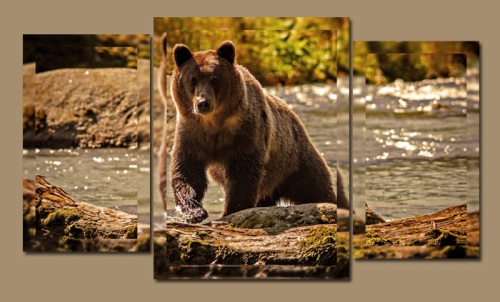 МКХ_038 МКХ_038