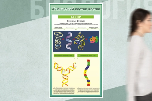 1000х1700мм_ 1000х1700мм_
