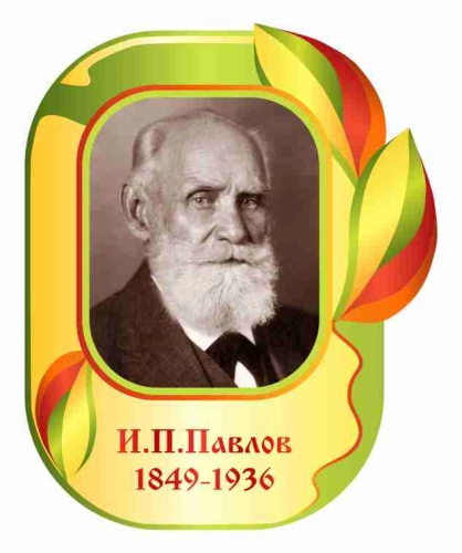 Оформление кабинета Биологии 400х490мм (3) Оформление кабинета Биологии 400х490мм (3)