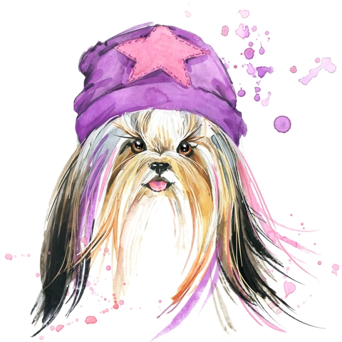 Собачки_67 Собачки_67