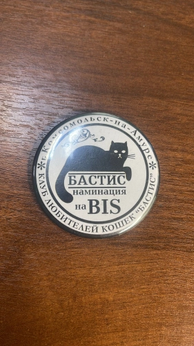 Изготовление магнита закатного 56мм Изготовление магнита закатного 56мм