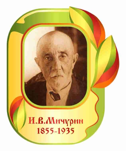 Оформление кабинета Биологии 400х490мм (4)