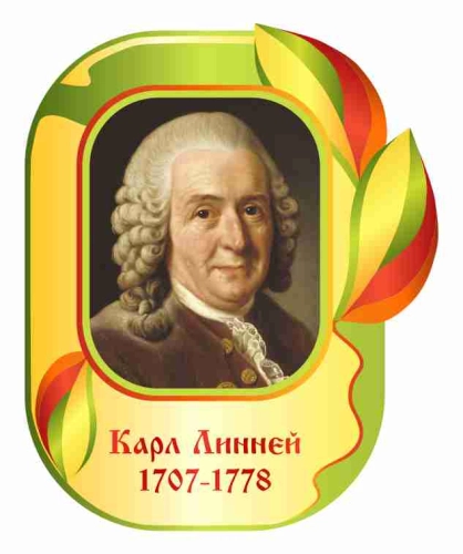 Оформление кабинета Биологии 400х490мм (5) Оформление кабинета Биологии 400х490мм (5)