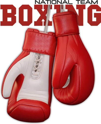 Бдб_единоборства_27