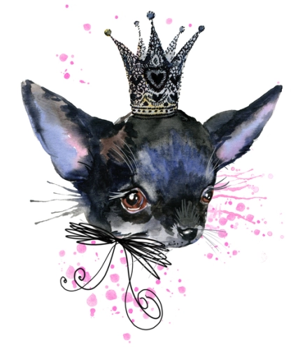 Собачки_74 Собачки_74