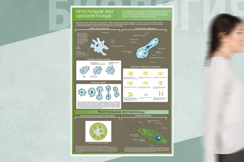 1000х1700мм_био 1000х1700мм_био