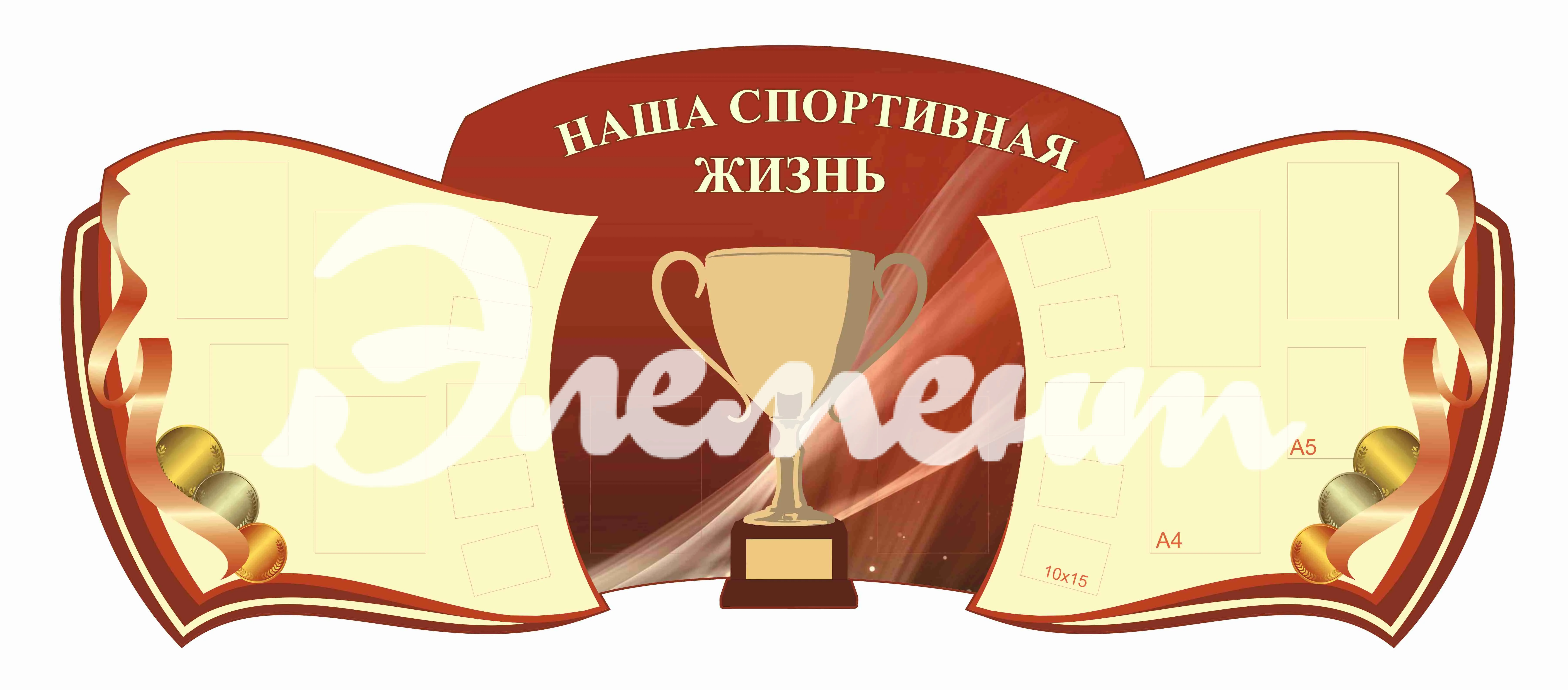 Стенды для кабинета Спортзала 2760х1140мм 6шт-А4 2шт-А5 10шт-10х15 (2)