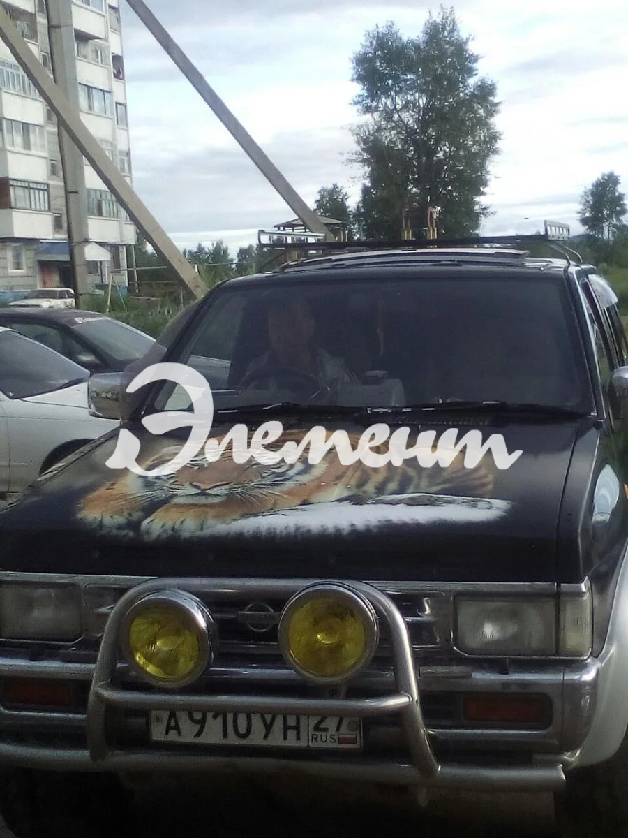 терано тигр