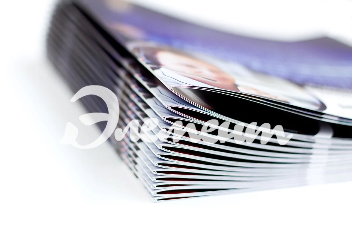 брошуровка на скрепку 2