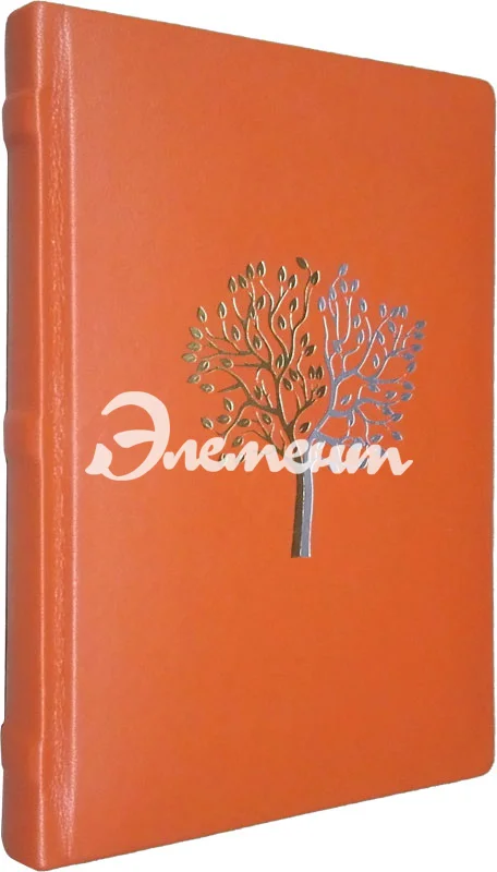 тиснение фальгой 3