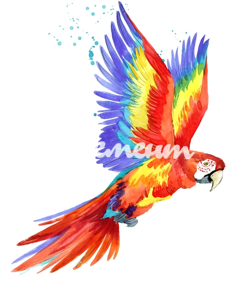 Акварель_222