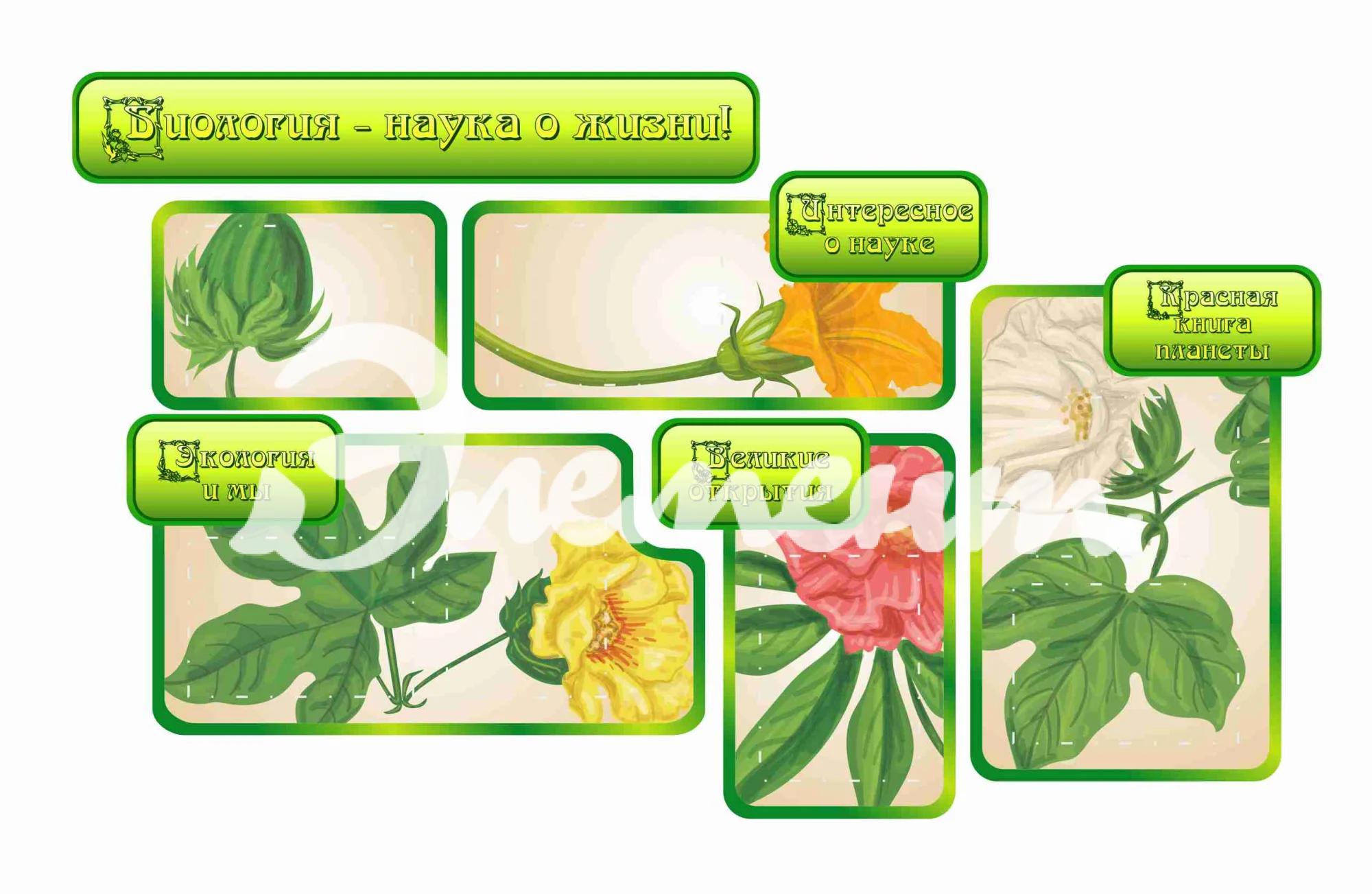 Стенды для кабинета Биологии 1650х990мм 7-А4