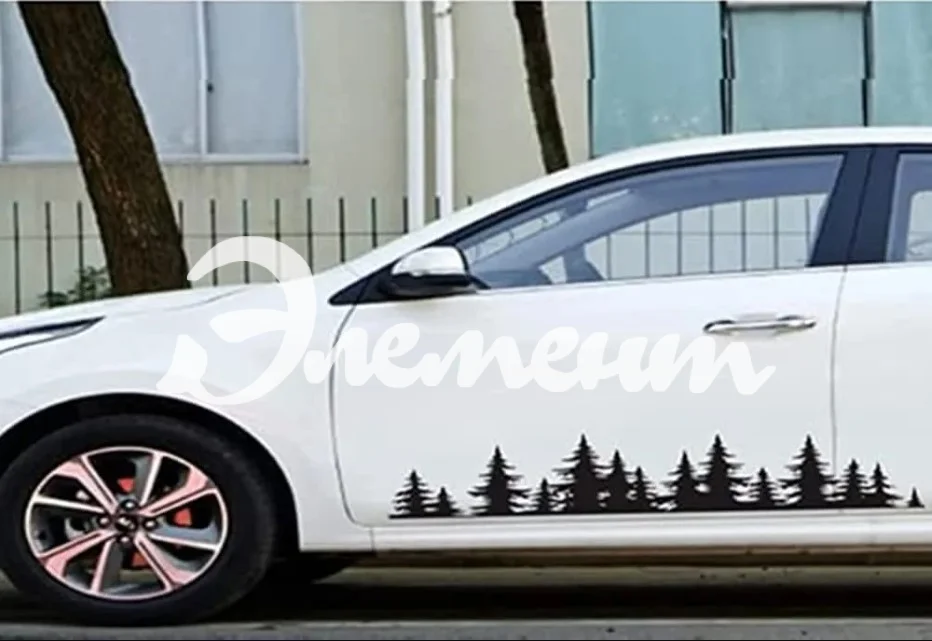 аппликация на авто (2)