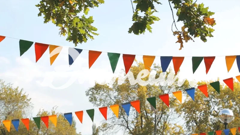 8217d6f551b7c8cfbe28911b47bcf296