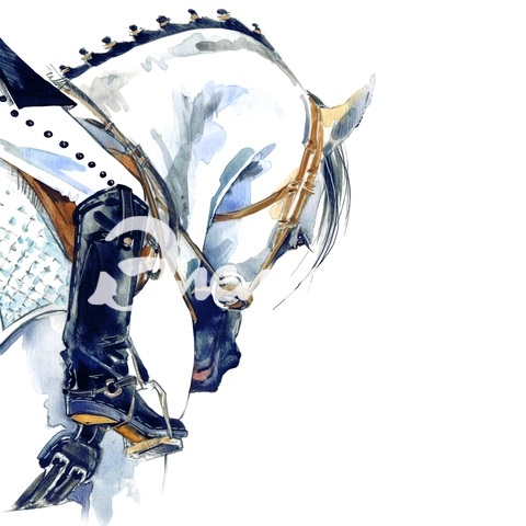 Акварель_233