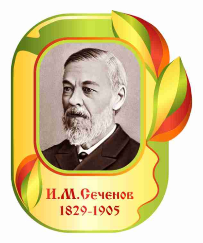 Оформление кабинета Биологии 400х490мм