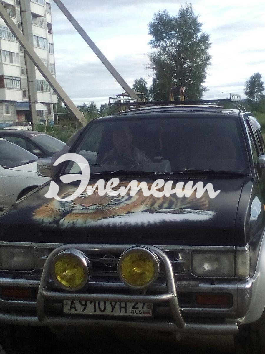 терано тигр