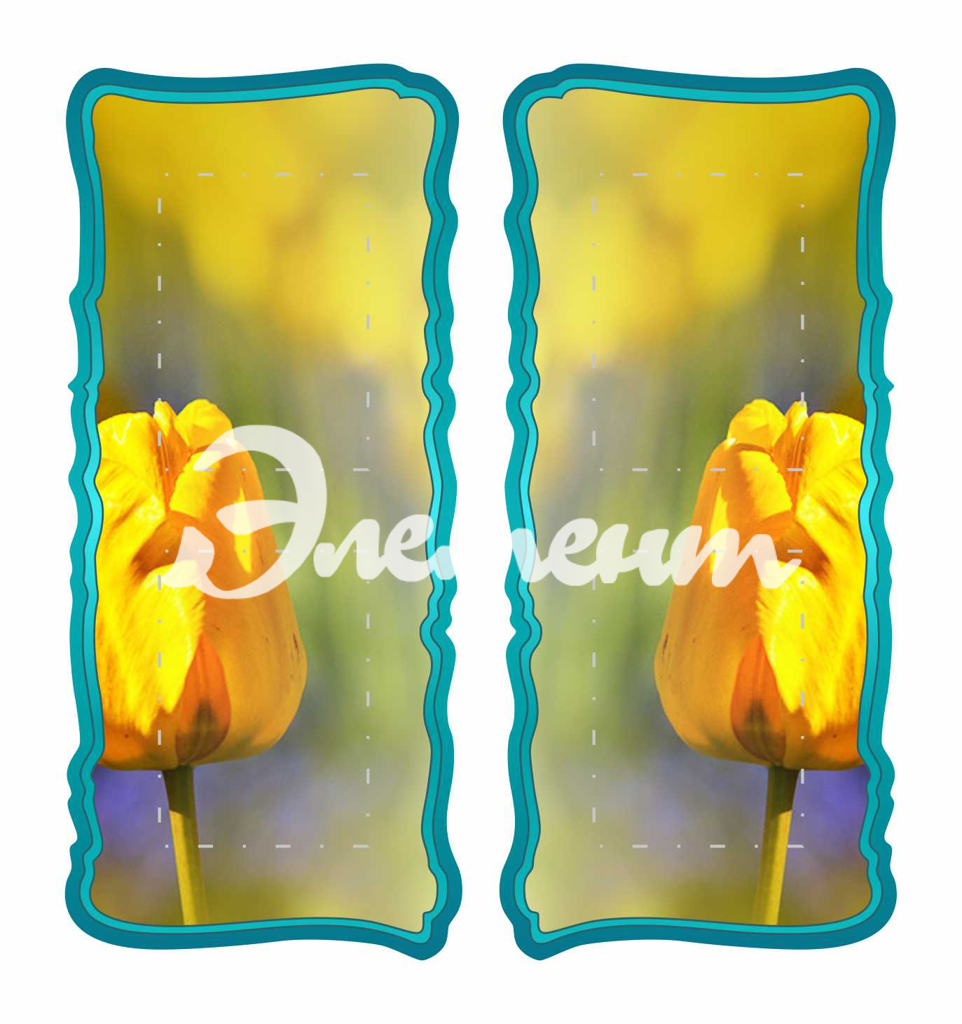 Стенды для кабинета Биологии 840х900мм 4-А4, 1 блок 400х900мм (3)