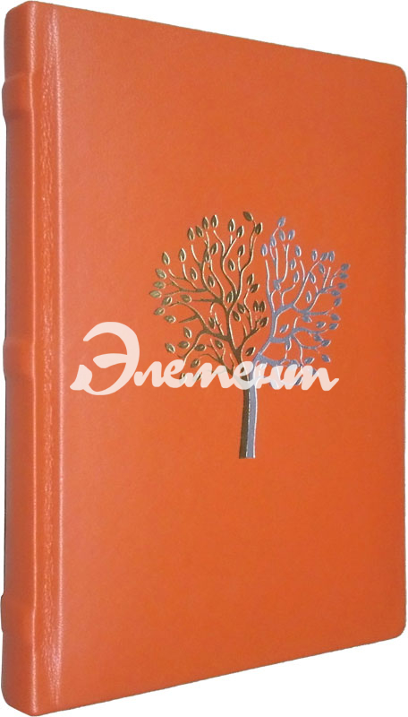 тиснение фальгой 3